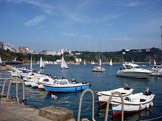 The harbour with Croft Court in the distance