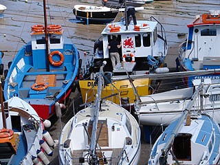 The harbour boats during the winter